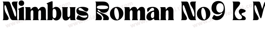 Nimbus Roman No9 L M字体转换